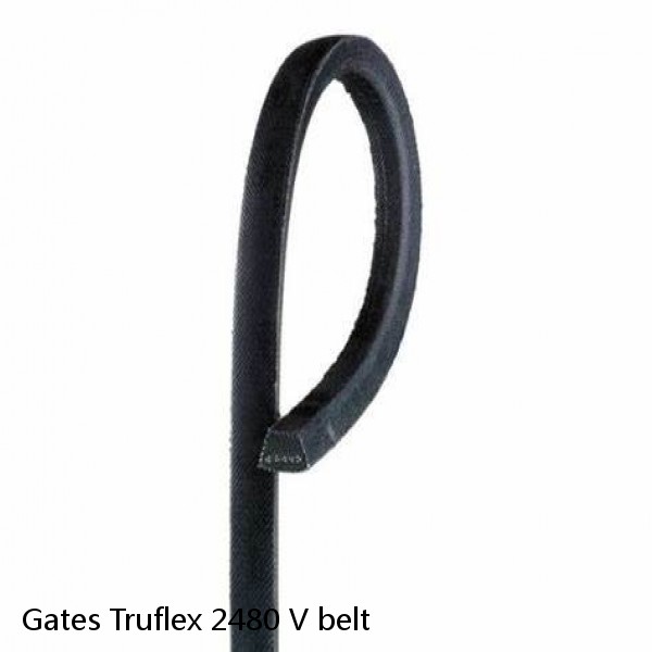 Gates Truflex 2480 V belt