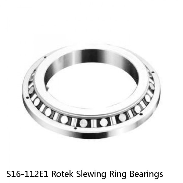 S16-112E1 Rotek Slewing Ring Bearings #1 small image