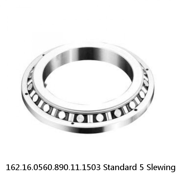 162.16.0560.890.11.1503 Standard 5 Slewing Ring Bearings #1 small image