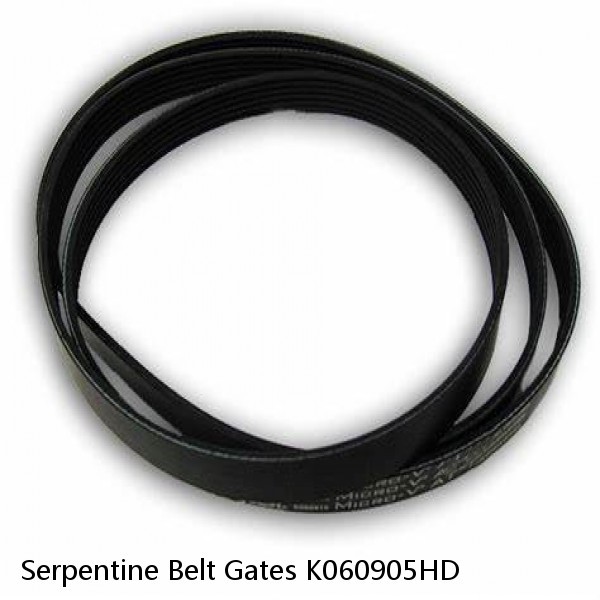 Serpentine Belt Gates K060905HD #1 small image