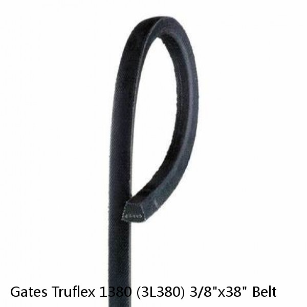 Gates Truflex 1380 (3L380) 3/8"x38" Belt #1 small image