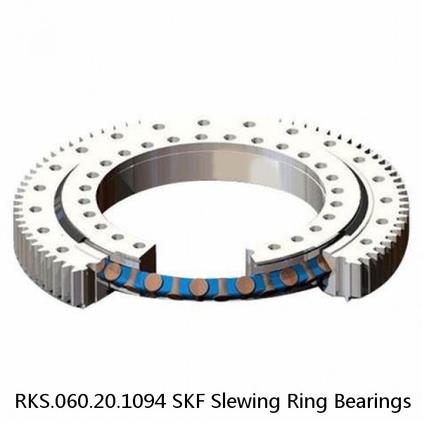 RKS.060.20.1094 SKF Slewing Ring Bearings #1 image