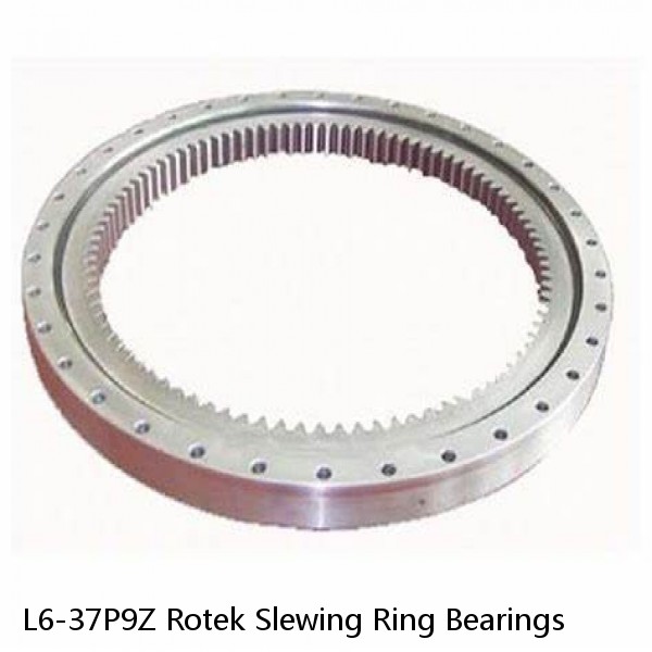 L6-37P9Z Rotek Slewing Ring Bearings #1 image