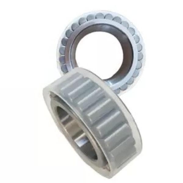 Factory SKF Cylindrical Roller Bearing Cheap Bearing Nn3020K #1 image