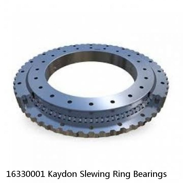 16330001 Kaydon Slewing Ring Bearings #1 image