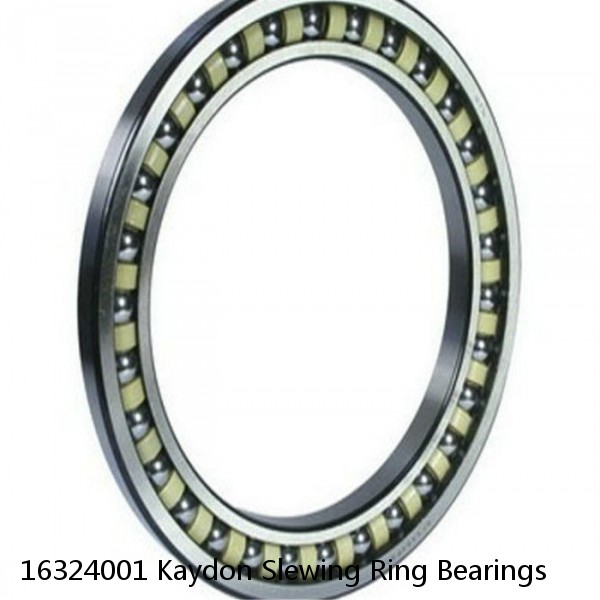 16324001 Kaydon Slewing Ring Bearings #1 image