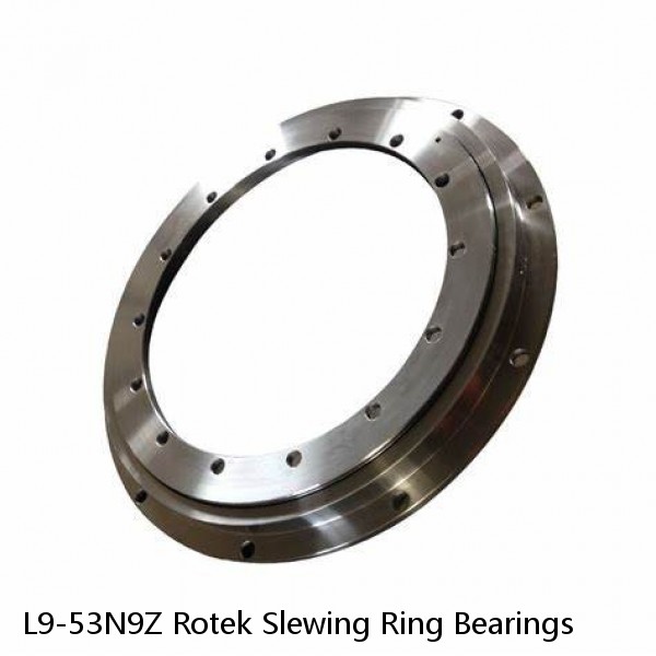 L9-53N9Z Rotek Slewing Ring Bearings #1 image
