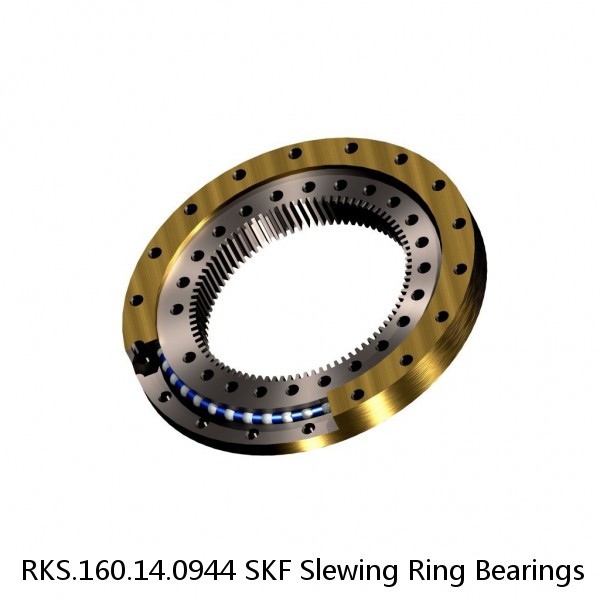 RKS.160.14.0944 SKF Slewing Ring Bearings #1 image