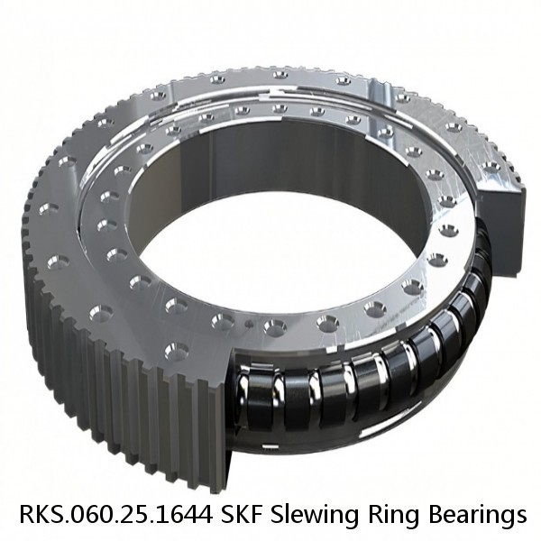 RKS.060.25.1644 SKF Slewing Ring Bearings #1 image