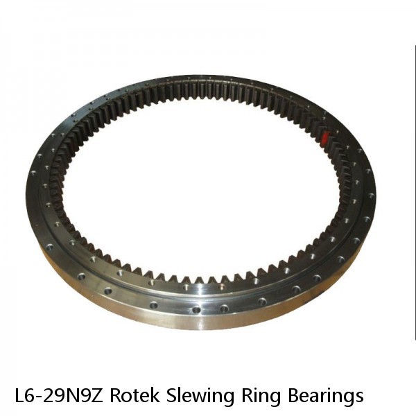 L6-29N9Z Rotek Slewing Ring Bearings #1 image