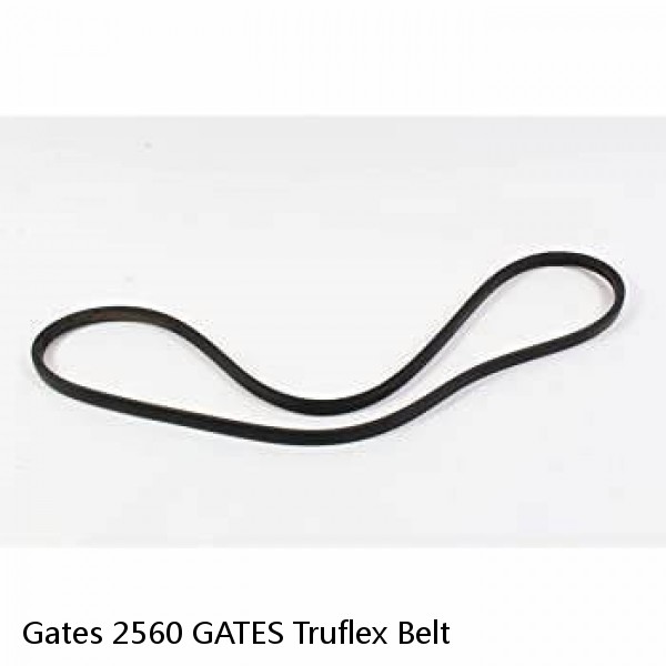 Gates 2560 GATES Truflex Belt #1 image